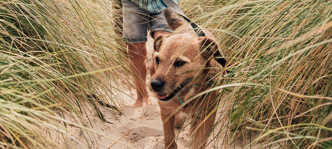 Brooklyn NY neighborhood